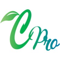 CLEVER PRO logo - Similar company to Taqa Plus