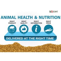 NRight Nutrition Pvt Ltd logo - Similar company to Eduzilla ®