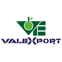 valexportsf logo - Similar company to Abrafrutas