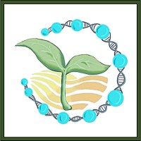 CDotBio logo - Similar company to Work Area Ltd