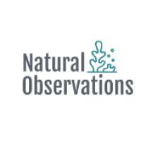 Natural Observations logo - Similar company to M2Ocean Solutions Inc.