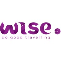 WISE.travel logo - Similar company to Net Wise Solutions