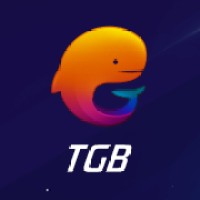 Tencent Gaming Buddy logo - Similar company to Extravaluecart