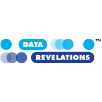 Data Revelations logo - Similar company to Depict Data Studio