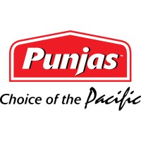 Punjas logo - Similar company to Vinod Patel Group
