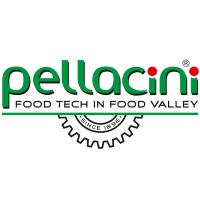 Pellacini Engineering Srl logo - Similar company to Confitech S.R.L.