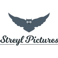 Streyl Pictures logo - Similar company to Solistv