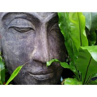 HealMe logo - Similar company to Healme Holistic Portal
