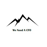 We Need A Cfo