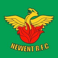 Newent Rugby Football Club logo - Similar company to Longlevens Rugby