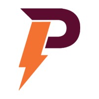 Pankaj Electricals logo - Similar company to Itech Solutions - Audio Visual Business Solutions