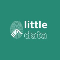 Little Data logo - Similar company to Littledata