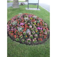 Graf Gartenbau