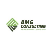 BMG Consulting logo - Similar company to Bmg Mkt