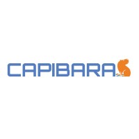 Capibara logo - Similar company to Apura Cloud