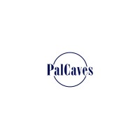 PalCaves logo - Similar company to Just Lucid Studios