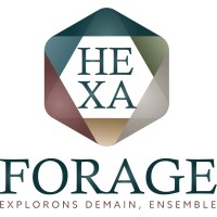 Hexaforage logo - Similar company to Expensalys