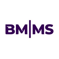 BMMS Partners, PLLC logo - Similar company to Bmms