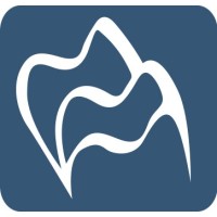 Dentaal Tema logo - Similar company to Dibiz