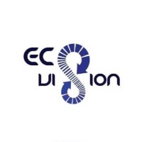 Ecovision - The Economics Society of SSCBS logo - Similar company to Ima Sscbs