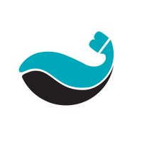 Balea Consulting logo - Similar company to Evoke Technologies