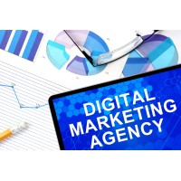 Diamond SEO Digital Agency logo - Similar company to Crescospec - Website Developer, Seo, Ppc