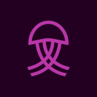 Pleasant Finance logo - Similar company to Newfly Digital