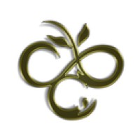 Covenant Business Concepts logo - Similar company to Ideation To Valuation