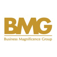 BMG Advisory and Consultant logo - Similar company to Pinnacle Advisory Consultant Group