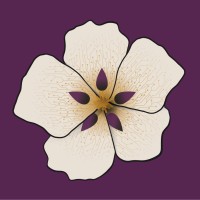 Steevanz logo - Similar company to Dwa - Delayed We Are