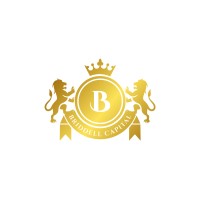 Briddell Capital logo - Similar company to Dmi Holdings