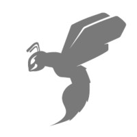 Hornet Racing logo - Similar company to Rocket Composites, Inc.