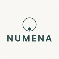 Numena Finance B.V. logo - Similar company to Firma Faas | Administratiekantoor Voor Zzp'Ers En Mkb