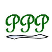 P3 Inc. logo - Similar company to Simplifier International Llc