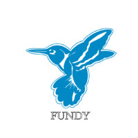 Fundy Lending Group logo - Similar company to Easy Flow Usa