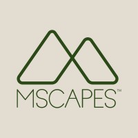 Mscapes logo - Similar company to Flyover Developments