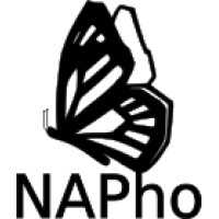 NAPho - Norbert Ackerl Photonics logo - Similar company to Tld Photonics