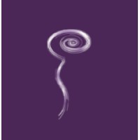 Spinal CSF Leak Foundation logo - Similar company to Csf Leak Association