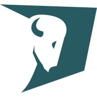 Bizzon logo - Similar company to Vitechnical