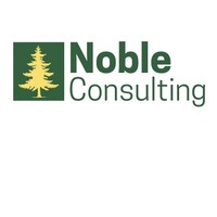 Noble Consulting logo - Similar company to Noble Nexus