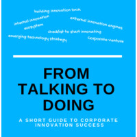 From Talking to Doing: A Short Guide to Corporate Innovation Success logo - Similar company to Cfo Collective