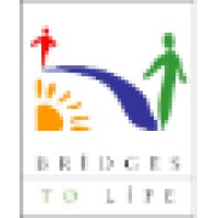 Bridges to Life