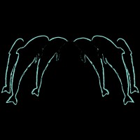 Dolfins logo - Similar company to Alivation Tech