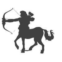 Cheiron Capital logo - Similar company to Ski Capital Services Limited