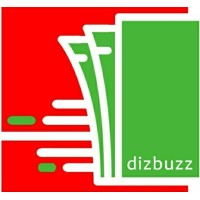 Dizbuzz logo - Similar company to Mavapay
