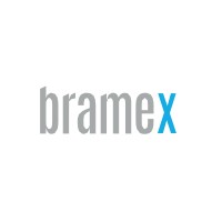 Bramex Solutions Limited logo - Similar company to Dreamchasers Technologies