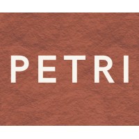 PETRI Engenharia logo - Similar company to Destrave Engenharia | Projetos Estruturais