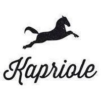 Kapriole logo - Similar company to Kaprio