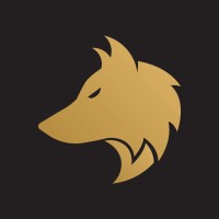 Wall Street Enterprises logo - Similar company to Infinity Acquisition