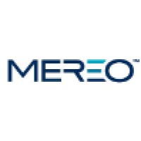Mereo LLC logo - Similar company to Dilse.It